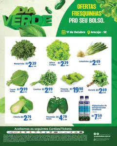 Pré-Visualização do folheto "Mateus ofertas Dia verde" da loja Mateus válido a partir de 17/10/2026