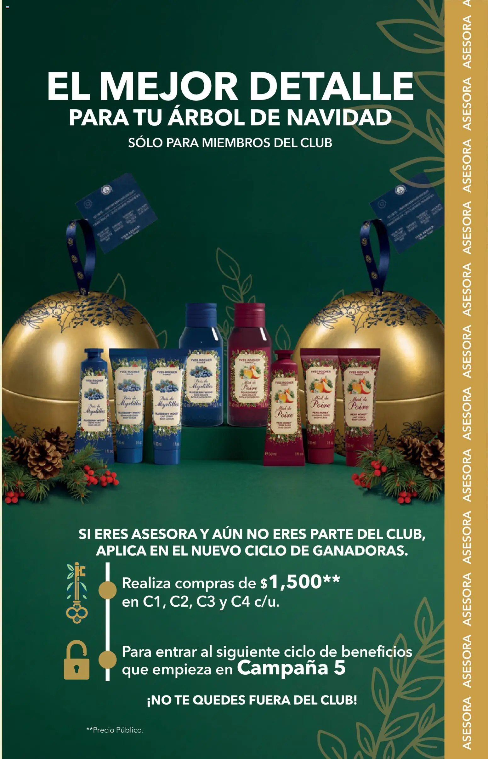 Vista previa las ofertas de la tienda Yves Rocher - Yves Rocher campaña 15 2026 desde el 27/10/2026 