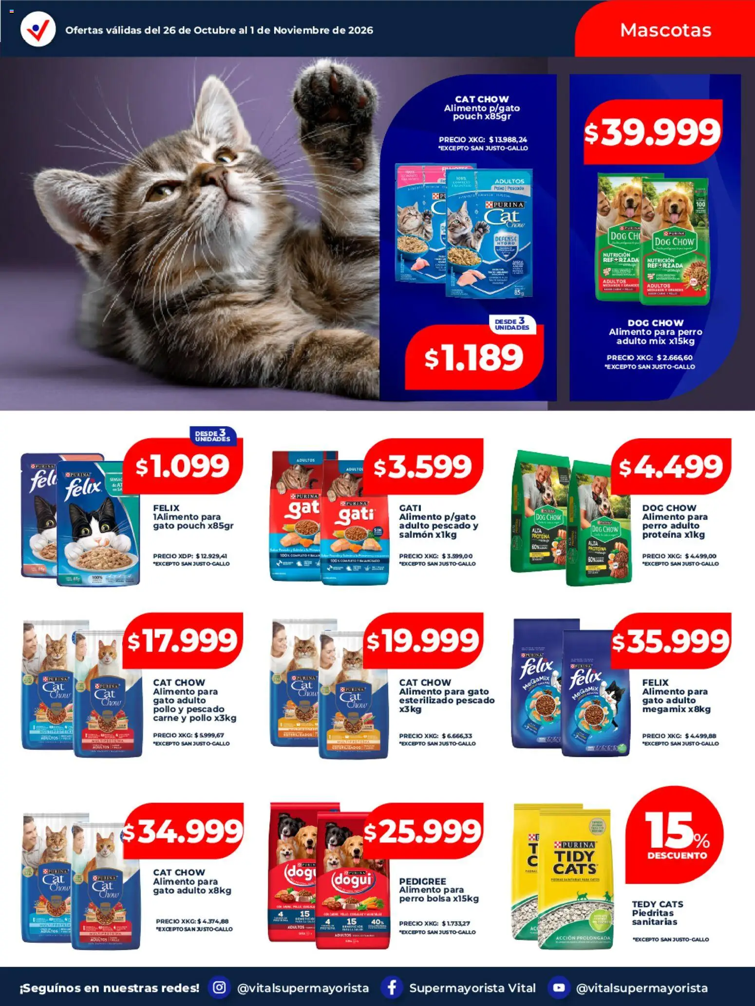 Vista previa del folleto de la tienda Vital válido desde el 26/10/2026 