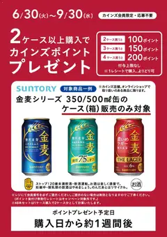 カインズ ホームの2026/06/30から2026/09/30までのチラシはここカインズ ホーム - サントリーポイントバックキャンペーン