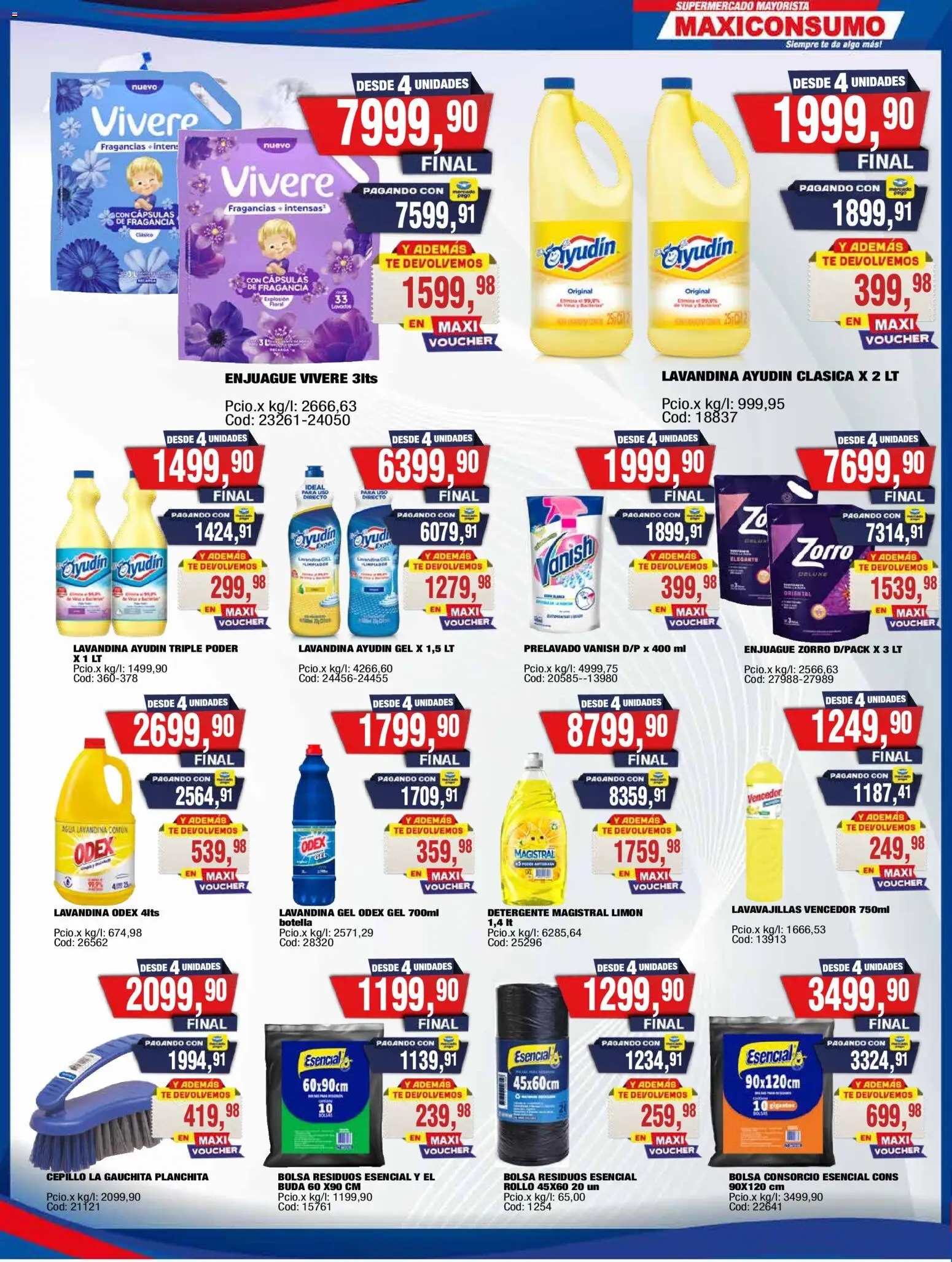 Vista previa del folleto de la tienda Maxiconsumo válido desde el 19/10/2026 