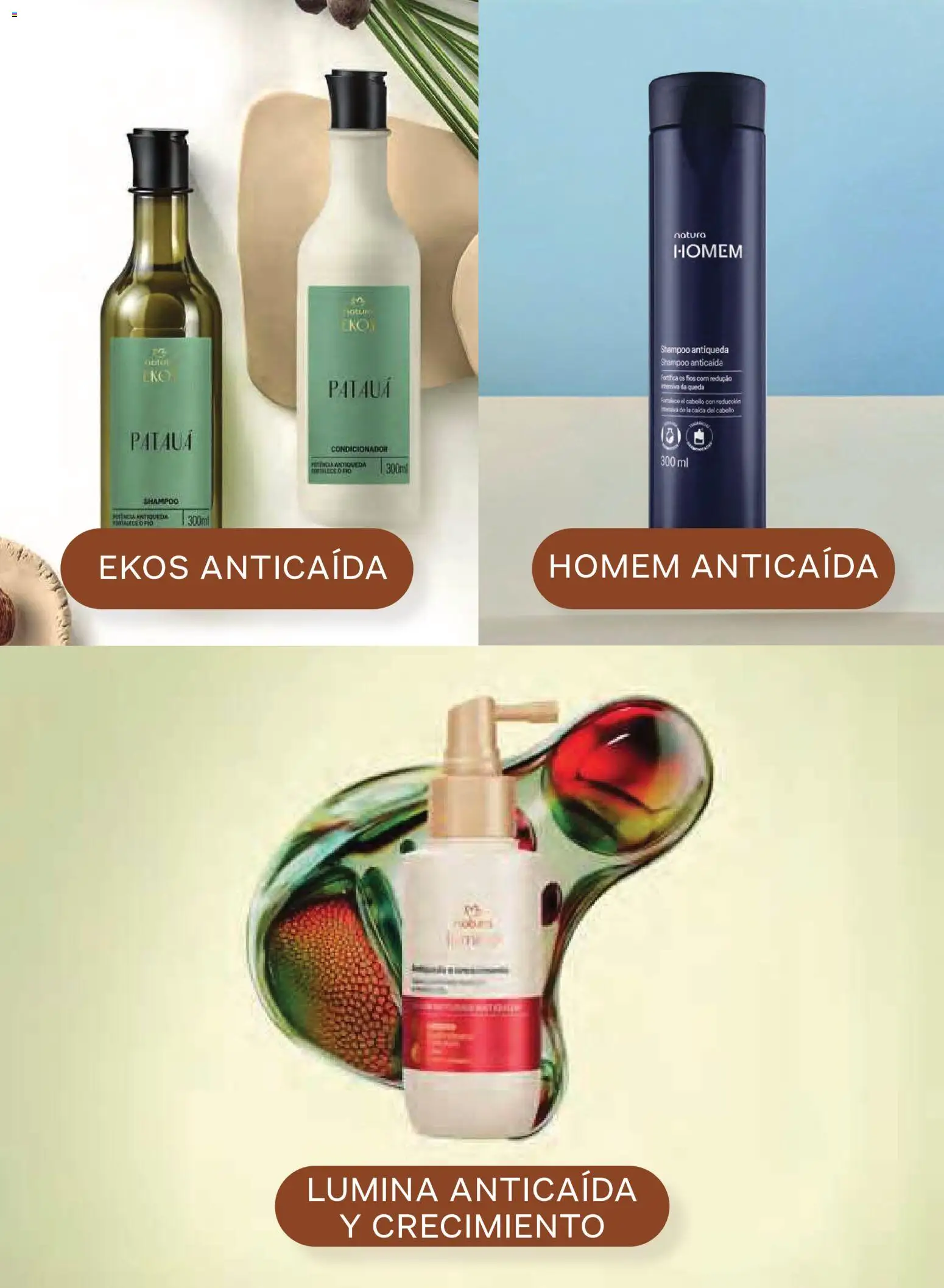Vista previa las ofertas de la tienda Natura - Natura campaña 17 2026 desde el 07/11/2026 