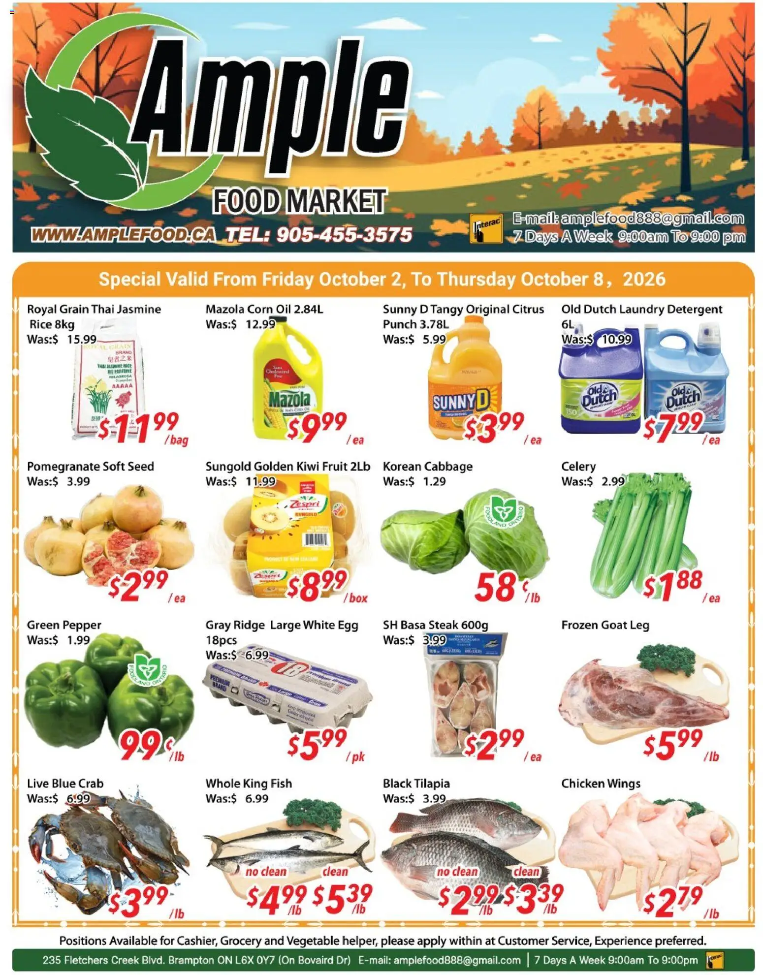 Preview of leaflet Ample Food Market weekly flyer Brampton from shop Ample Food Market is valid from Oct 02, 2026 - Food, Chicken, Steak, Kiwi, Bag, Corn, Jasmine rice, Citrus