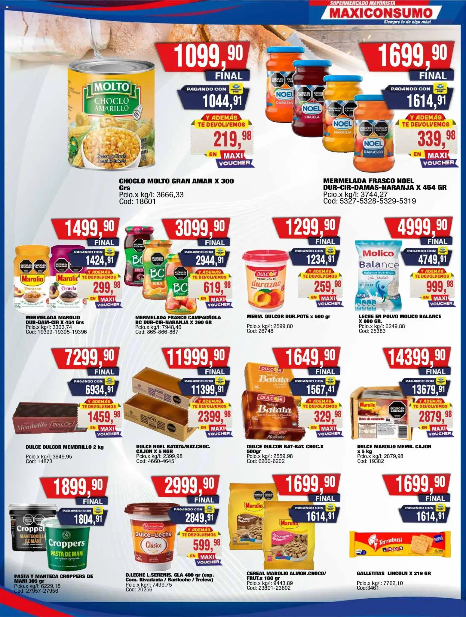 Vista previa del folleto de la tienda Maxiconsumo válido desde el 19/10/2026 