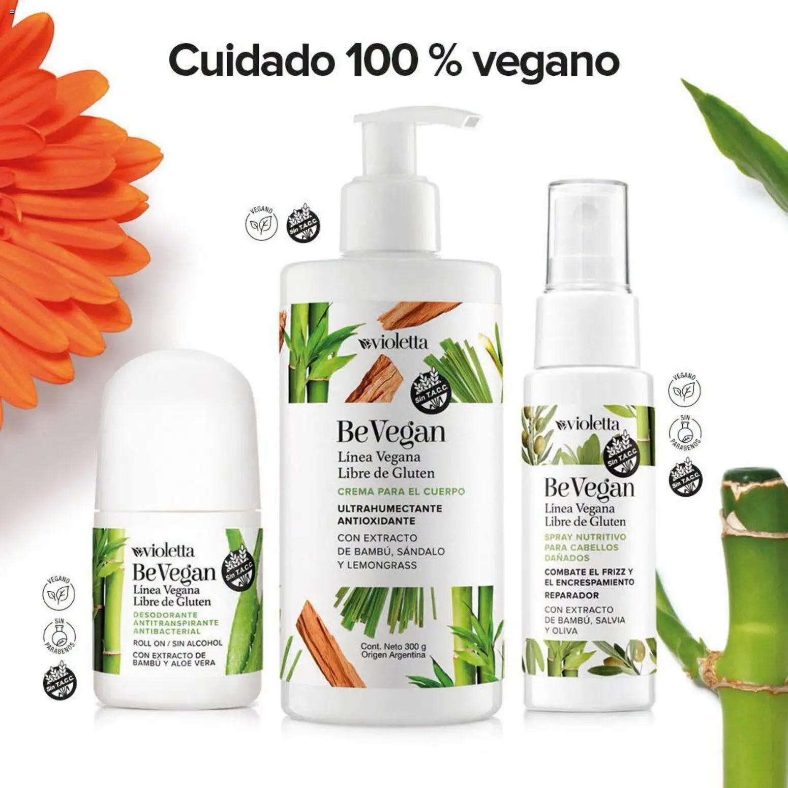 Vista previa del folleto de la tienda Violetta válido desde el 25/08/2026 