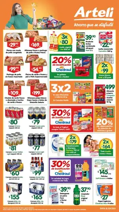 Vista previa las ofertas de la tienda Arteli - Arteli folleto desde el 05/06/2026 