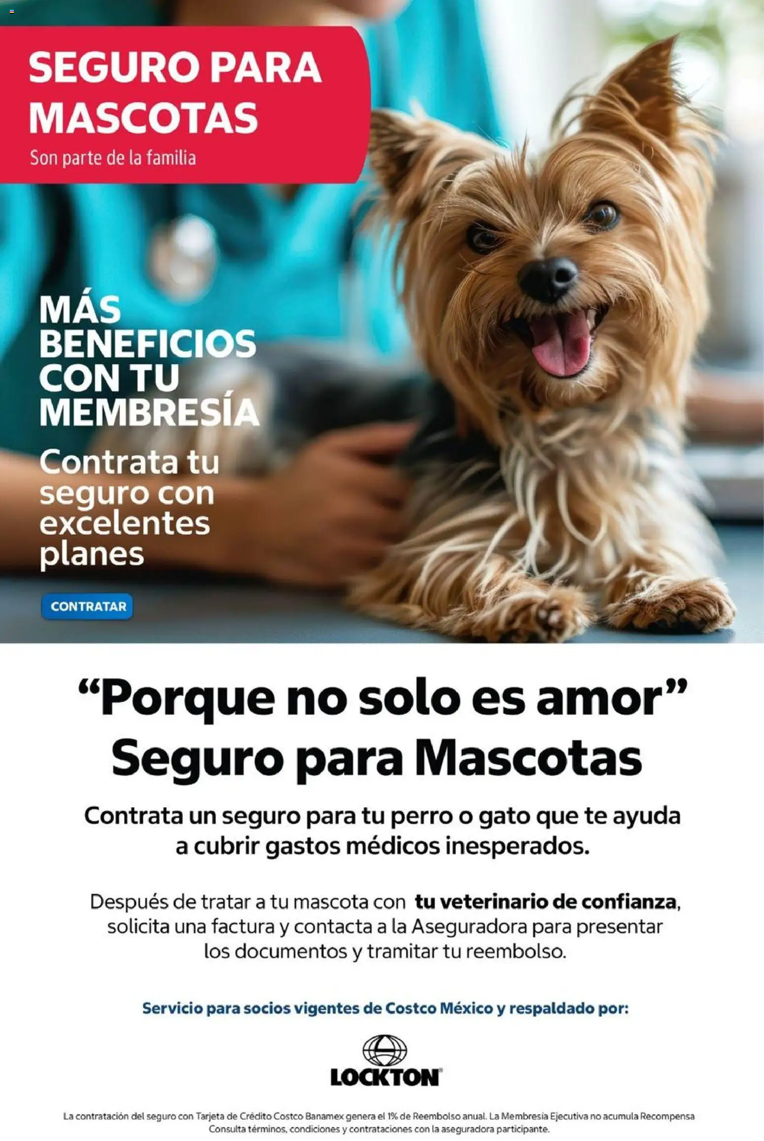 Vista previa las ofertas de la tienda Costco - Costco catálogo Octubre desde el 01/10/2026 