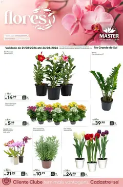 Pré-Visualização do folheto "Master ofertas Flores" da loja Master válido a partir de 21/08/2026