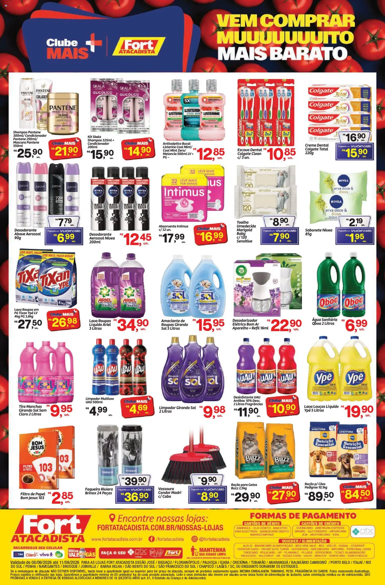 Ofertas Fort Atacadista até 11/09/2026. - Página 4