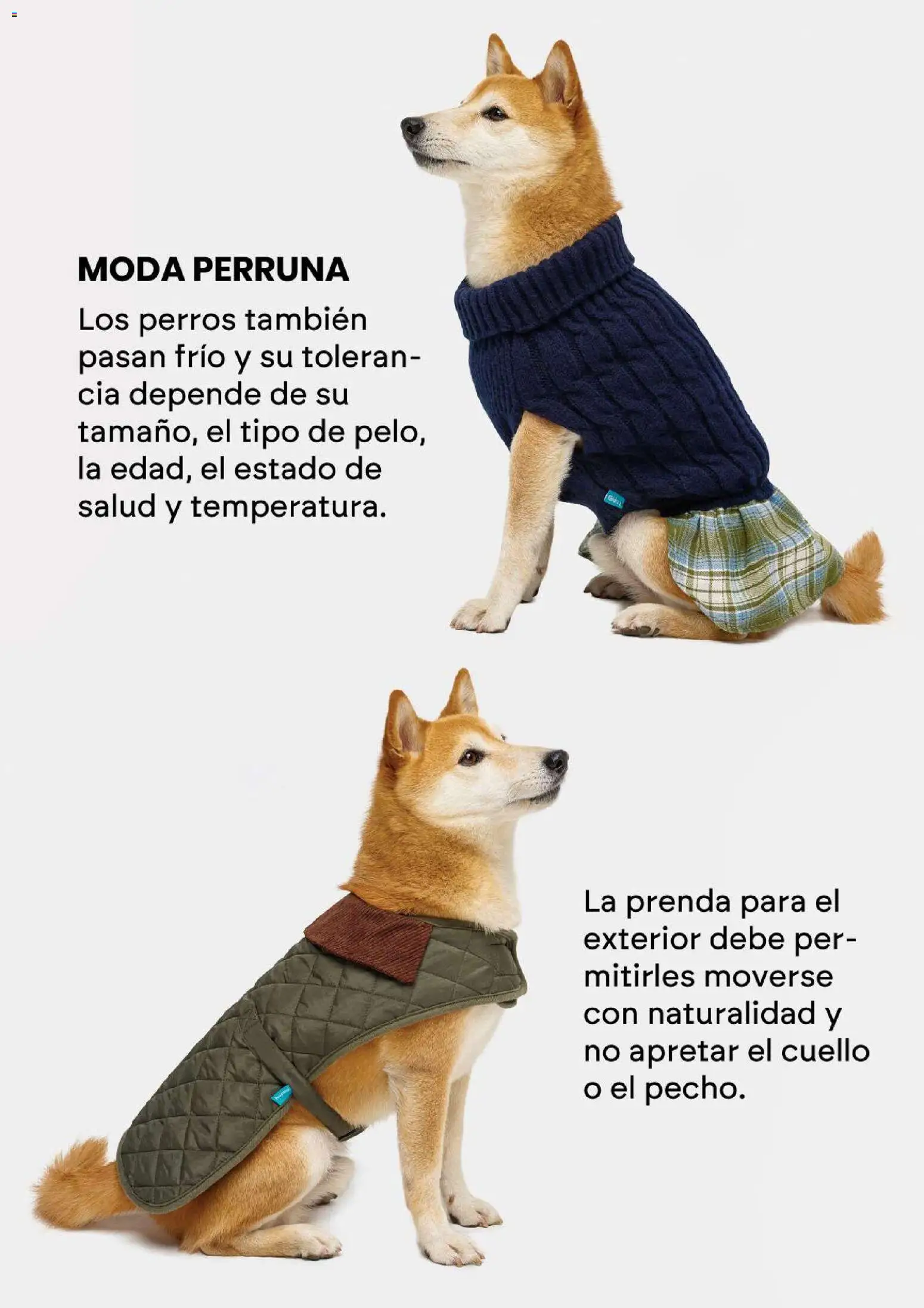 Vista previa las ofertas de la tienda Coppel - Coppel catálogo C. Estilo desde el 01/10/2026 