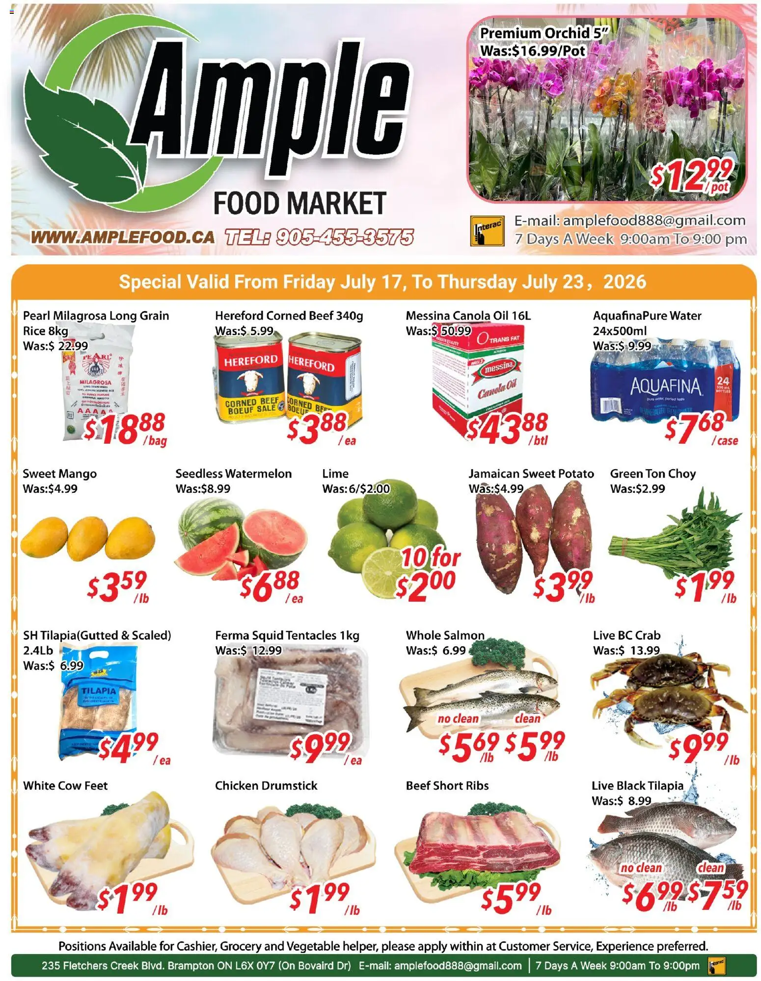 Preview of leaflet Ample Food Market weekly flyer Brampton from shop Ample Food Market is valid from Jul 17, 2026 - Food, Mango, Water, Orchid, Watermelon, Rice, Beef, Tilapia