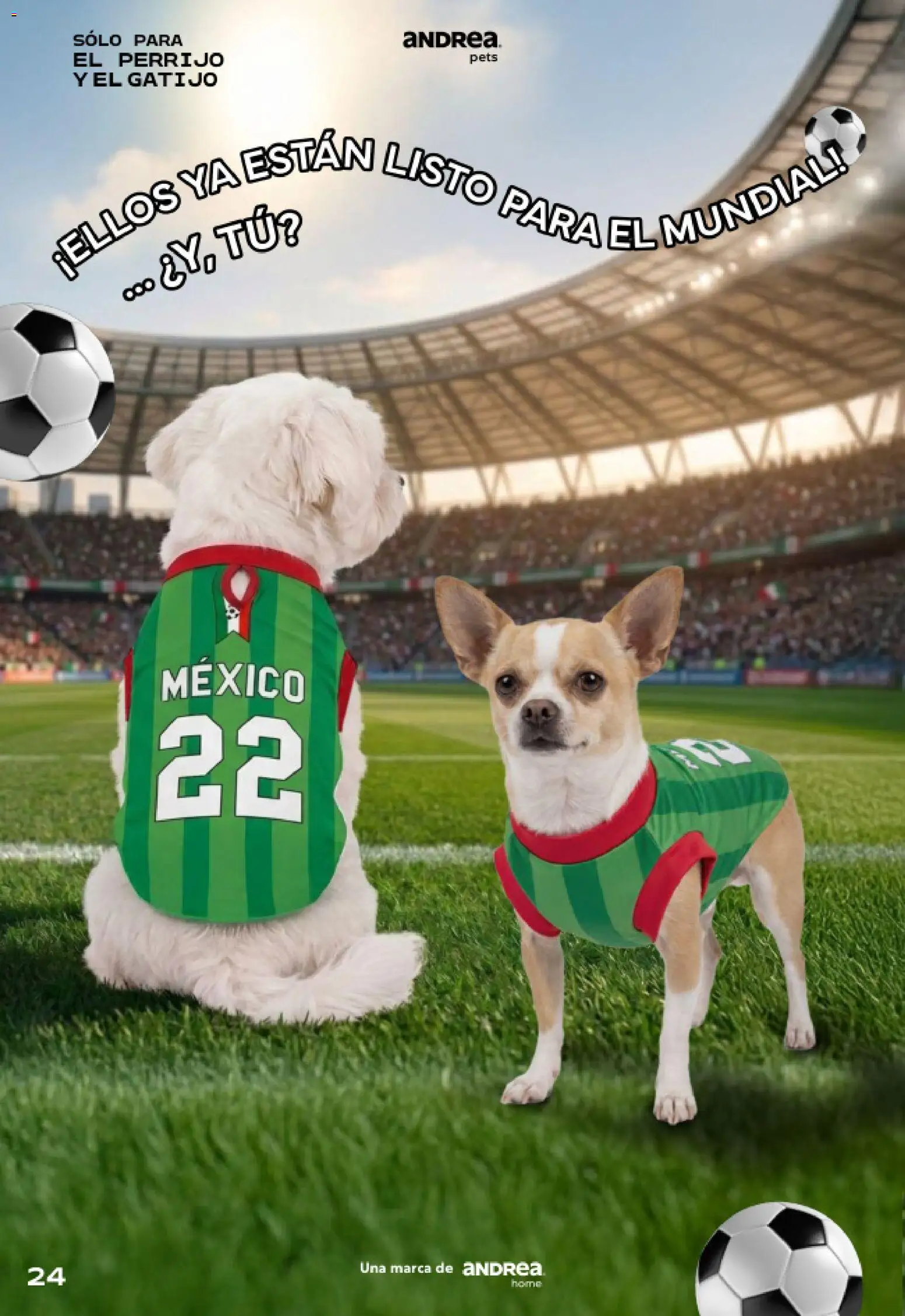 Vista previa las ofertas de la tienda Andrea - Andrea catálogo Pets desde el 24/05/2026 