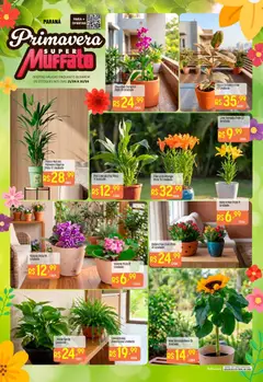 Pré-Visualização do folheto "Super Muffato ofertas Primavera" da loja Super Muffato válido a partir de 21/09/2026