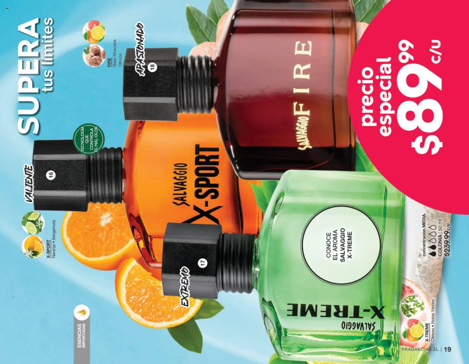 Vista previa las ofertas de la tienda Fuller - Fuller campaña 14 2026 desde el 14/10/2026 