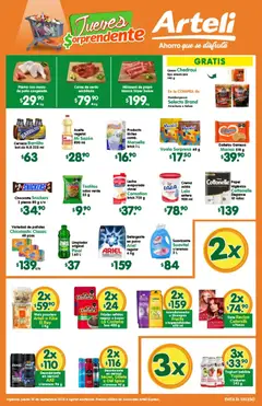 Vista previa las ofertas de la tienda Arteli - Arteli folleto Express desde el 10/09/2026 