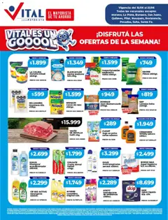 Vista previa del folleto de la tienda Vital válido desde el 15/06/2026 