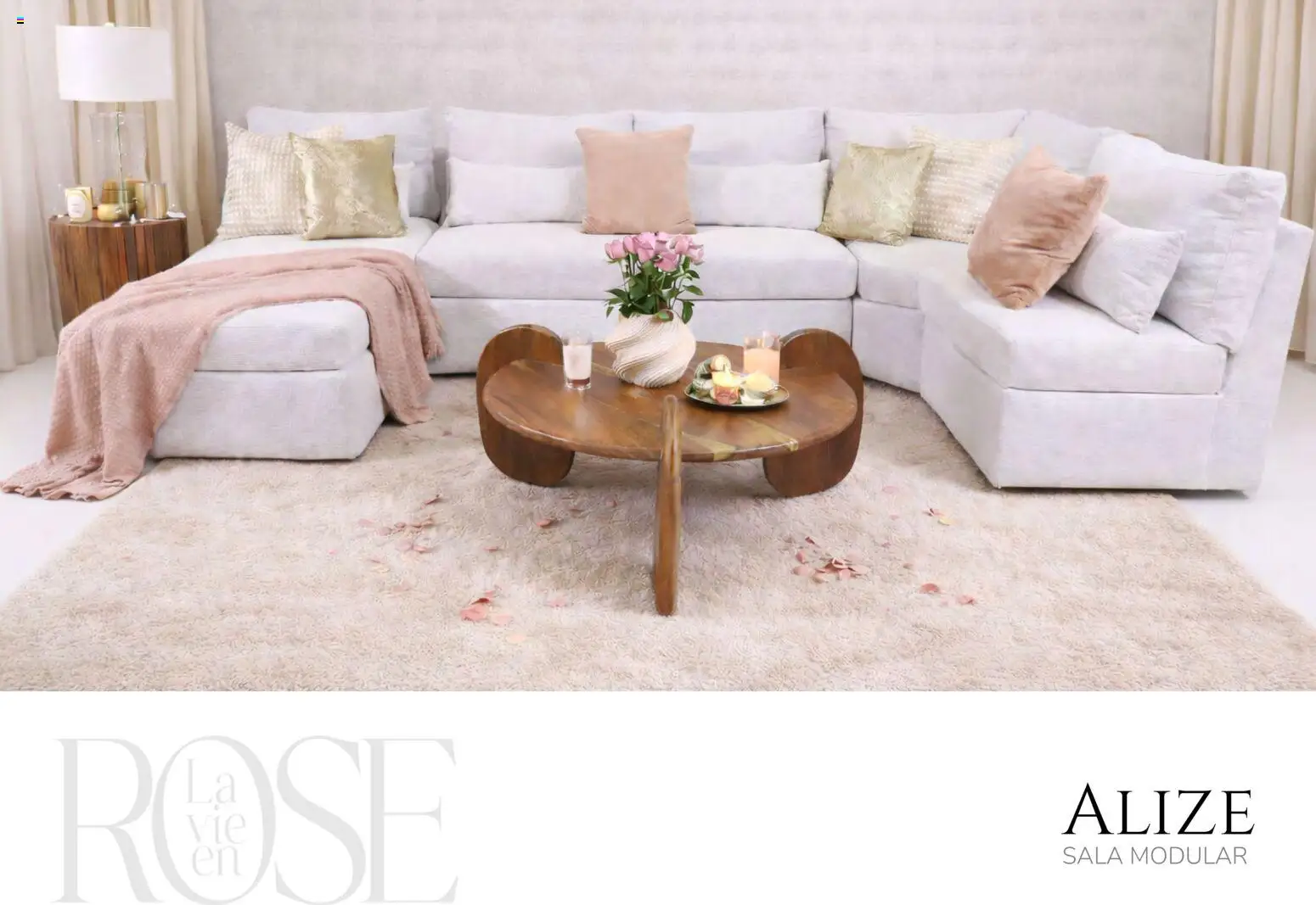 Vista previa las ofertas de la tienda Muebles Dico - Catálogo La Vie en Rose 2026 desde el 06/02/2026 
