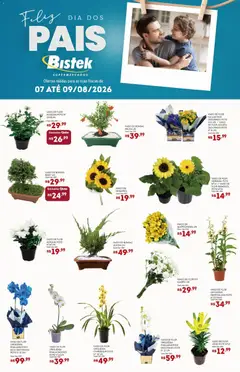 Pré-Visualização do folheto "Bistek Supermercados ofertas Dia dos Pais Flores" da loja Bistek Supermercados válido a partir de 07/08/2026