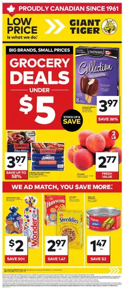 Un aperçu du dépliant Weekly Flyer du magasin Giant Tiger est valide à partir 17 juin 2026