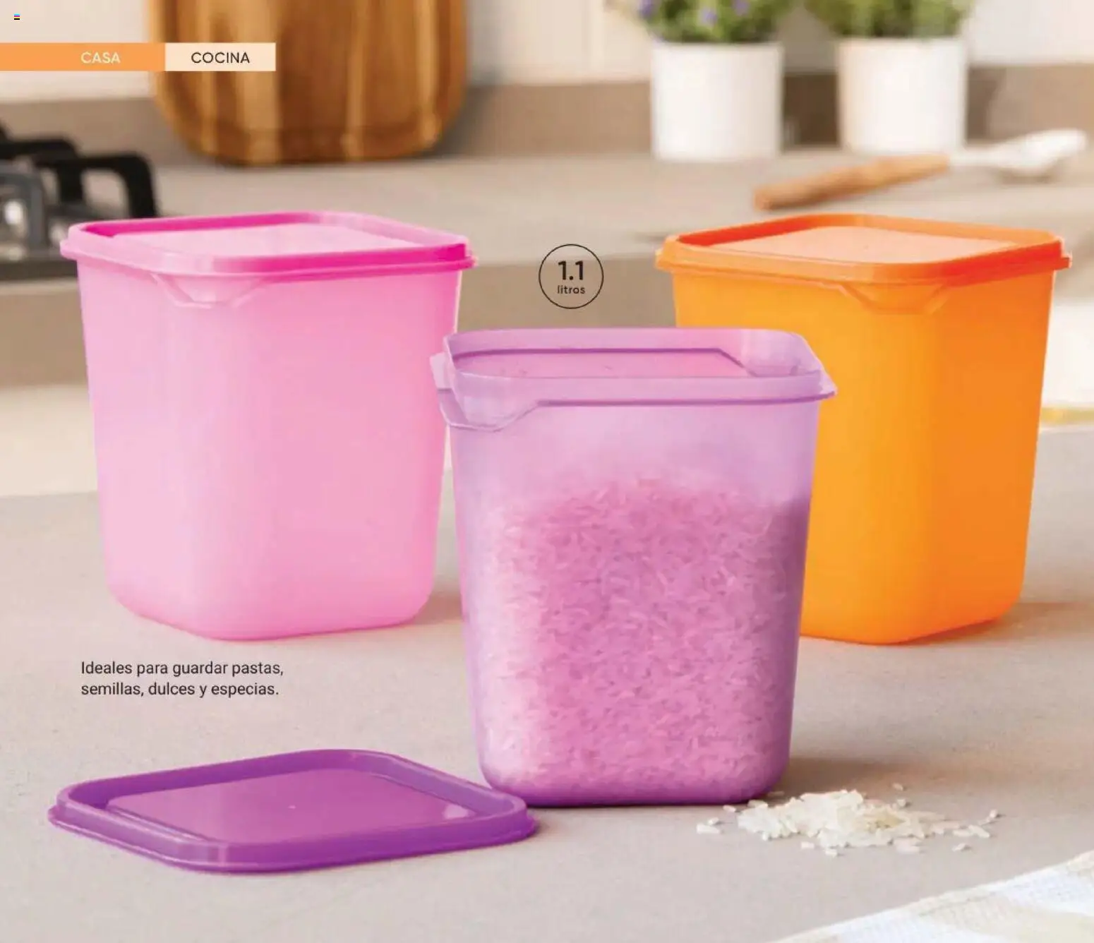 Vista previa las ofertas de la tienda AVON - AVON Casa & Estilo 8 2026 desde el 08/05/2026 - Dulces, Cocina