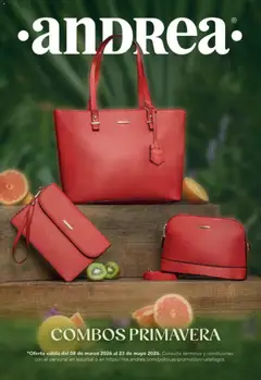 Vista previa las ofertas de la tienda Andrea - Andrea catálogo Combos Primavera desde el 08/03/2026 