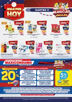 Vista previa del folleto de la tienda Maxiconsumo válido desde el 11/08/2026 