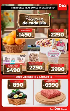 Vista previa del folleto de la tienda Dia válido desde el 13/08/2026 