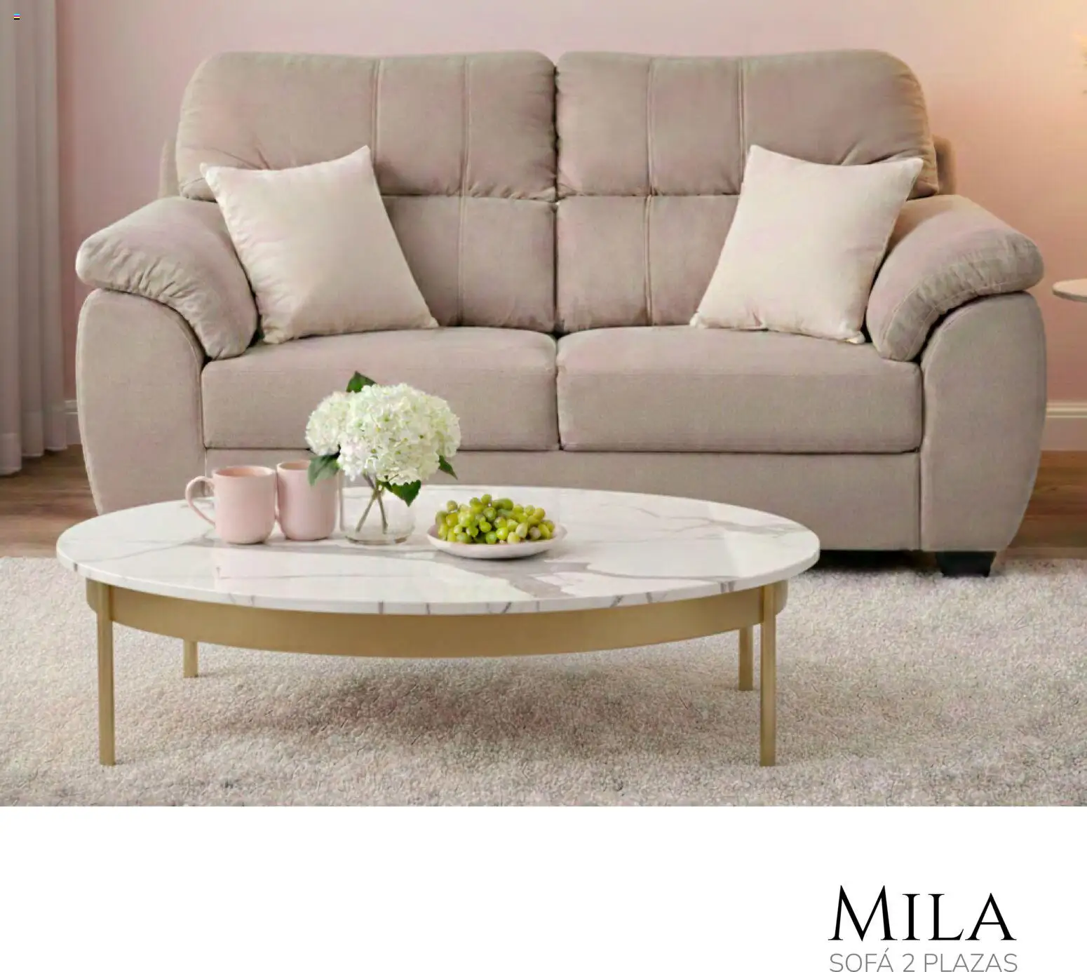 Vista previa las ofertas de la tienda Muebles Dico - Catálogo La Vie en Rose 2026 desde el 06/02/2026 