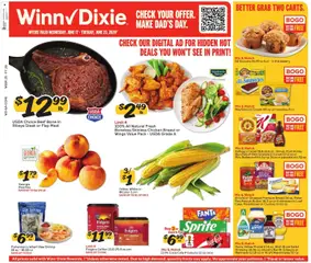 Ad Preview of Winn Dixie Winn Dixie Weekly Ad from 06/17/2026