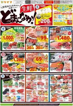 ライフの2026/08/22から2026/08/24までのチラシはここライフ 江戸川区 - 生鮮どまんなか！