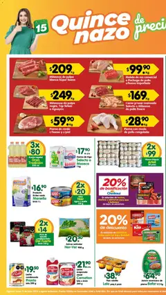 Vista previa las ofertas de la tienda Arteli - Arteli folleto Tuxpan desde el 22/06/2026 