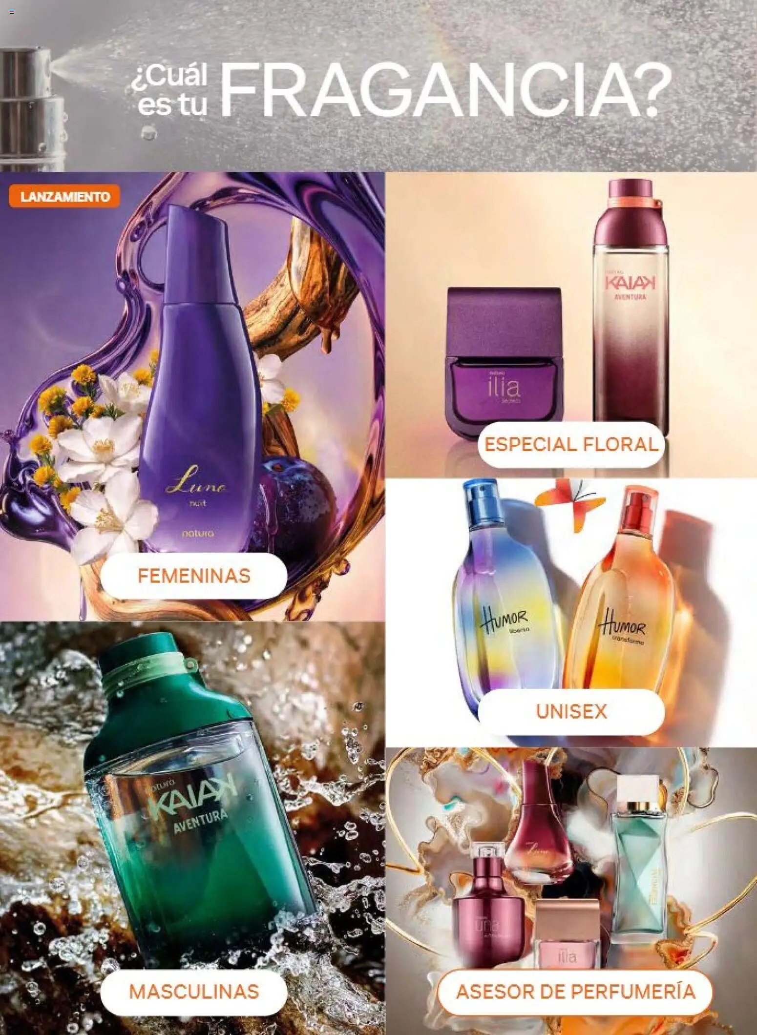 Vista previa las ofertas de la tienda Natura - Natura campaña 13 2026 desde el 21/08/2026 