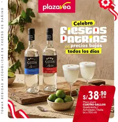 Vista previa de Catálogo Plaza Vea - Especial Fiestas Patrias de la tienda Plaza Vea válido desde 13/07/2026