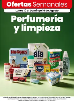 Vista previa del folleto de la tienda Coto válido desde el 10/08/2026 