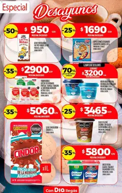 Vista previa del folleto de la tienda Dia válido desde el 06/08/2026 