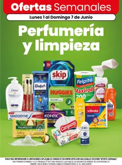 Vista previa del folleto de la tienda Coto válido desde el 01/06/2026 