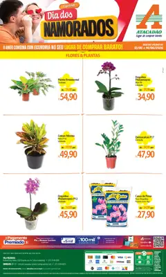 Pré-Visualização do folheto "Atacadão ofertas - ES" da loja Atacadão válido a partir de 12/06/2026