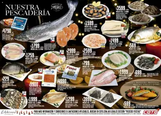 Vista previa del folleto de la tienda Coto válido desde el 15/12/2025 
