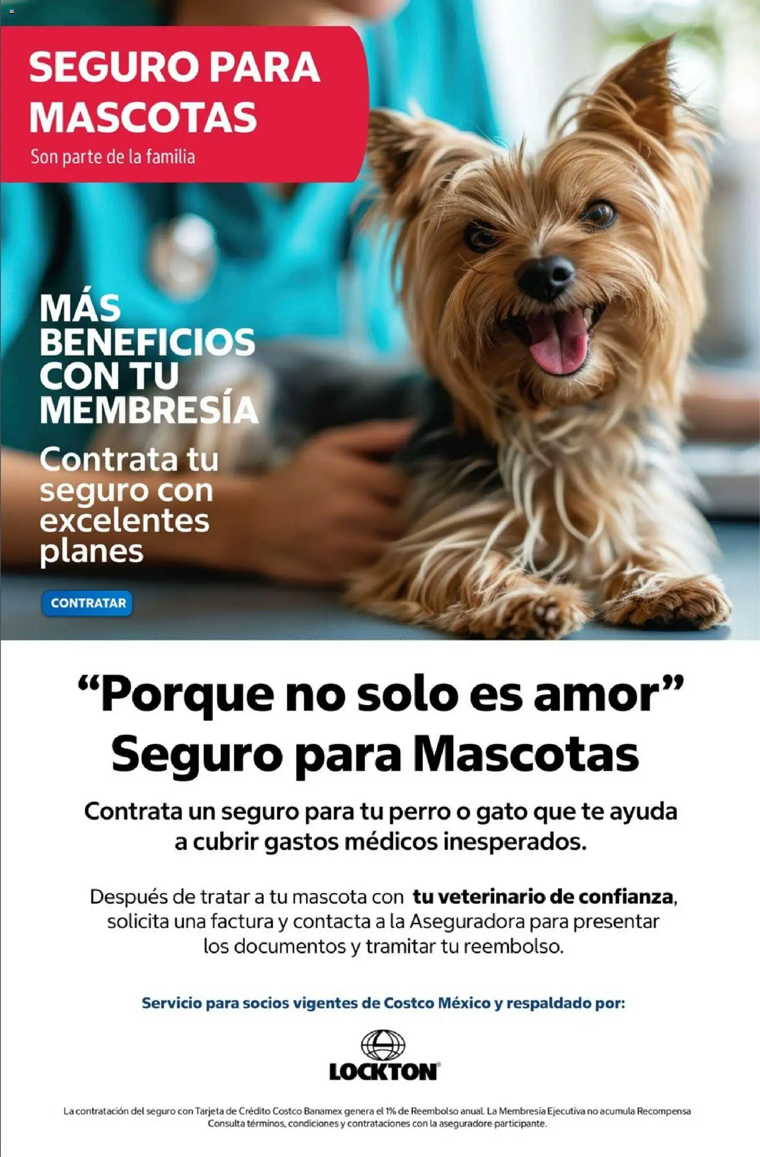 Vista previa las ofertas de la tienda Costco - Costco catálogo Agosto desde el 01/08/2026 