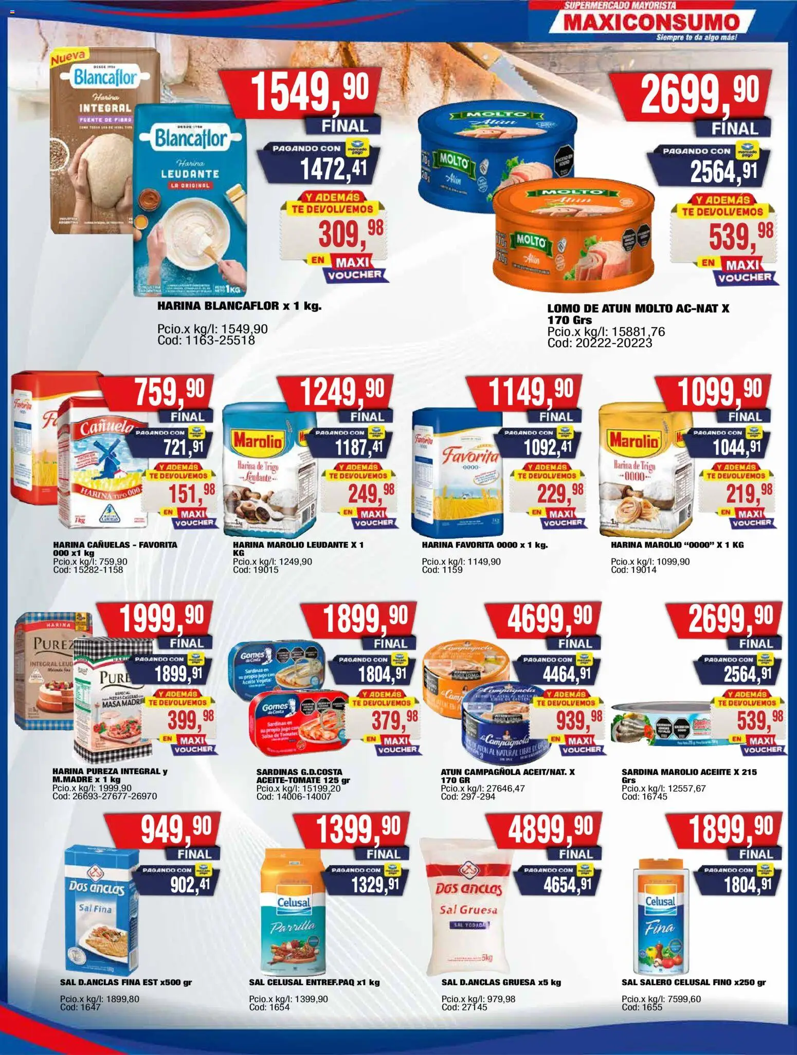 Vista previa del folleto de la tienda Maxiconsumo válido desde el 12/10/2026 