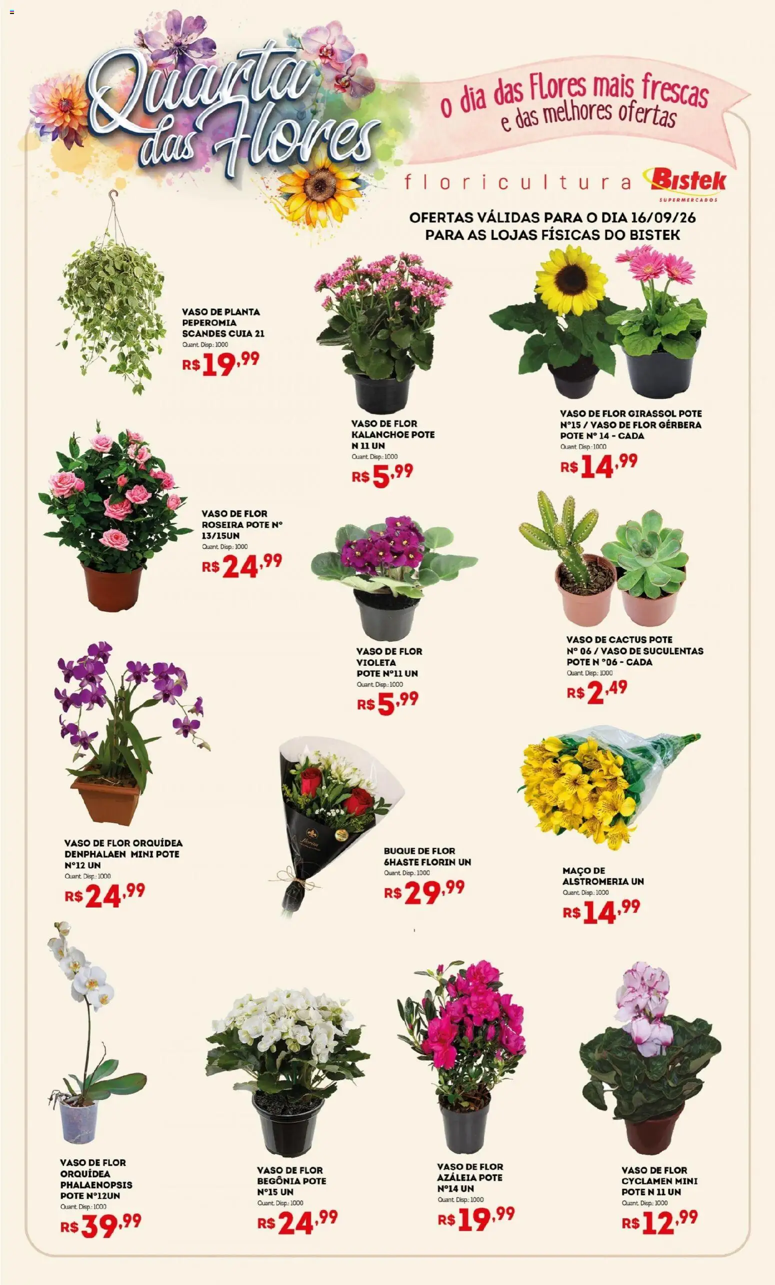 Pré-Visualização do folheto "Bistek Supermercados ofertas Quarta das Flores" da loja Bistek Supermercados válido a partir de 16/09/2026 - Flores, Orquídea, Vaso, Gerbera, Denphalaen