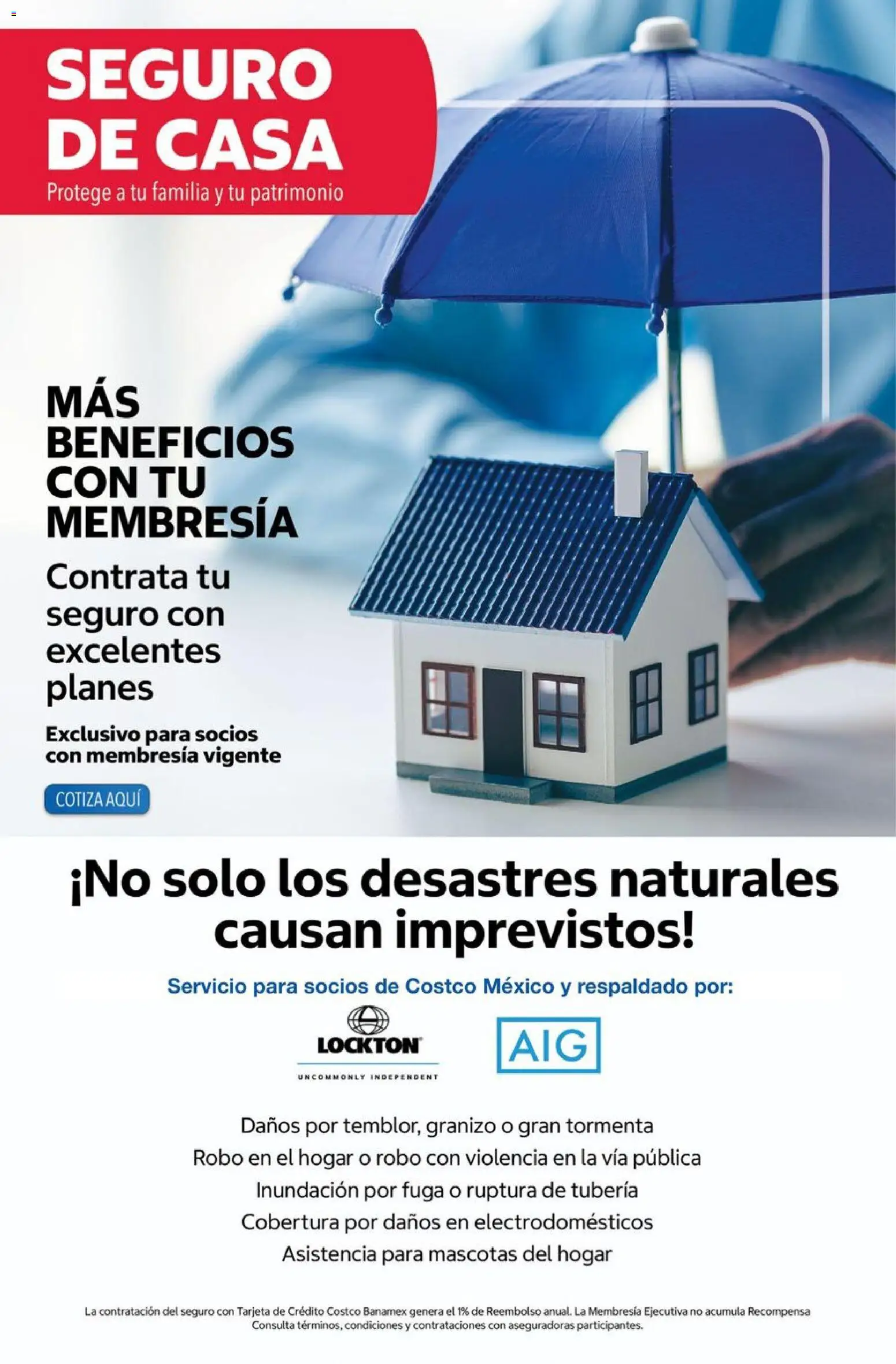 Vista previa las ofertas de la tienda Costco - Costco catálogo Octubre desde el 01/10/2026 