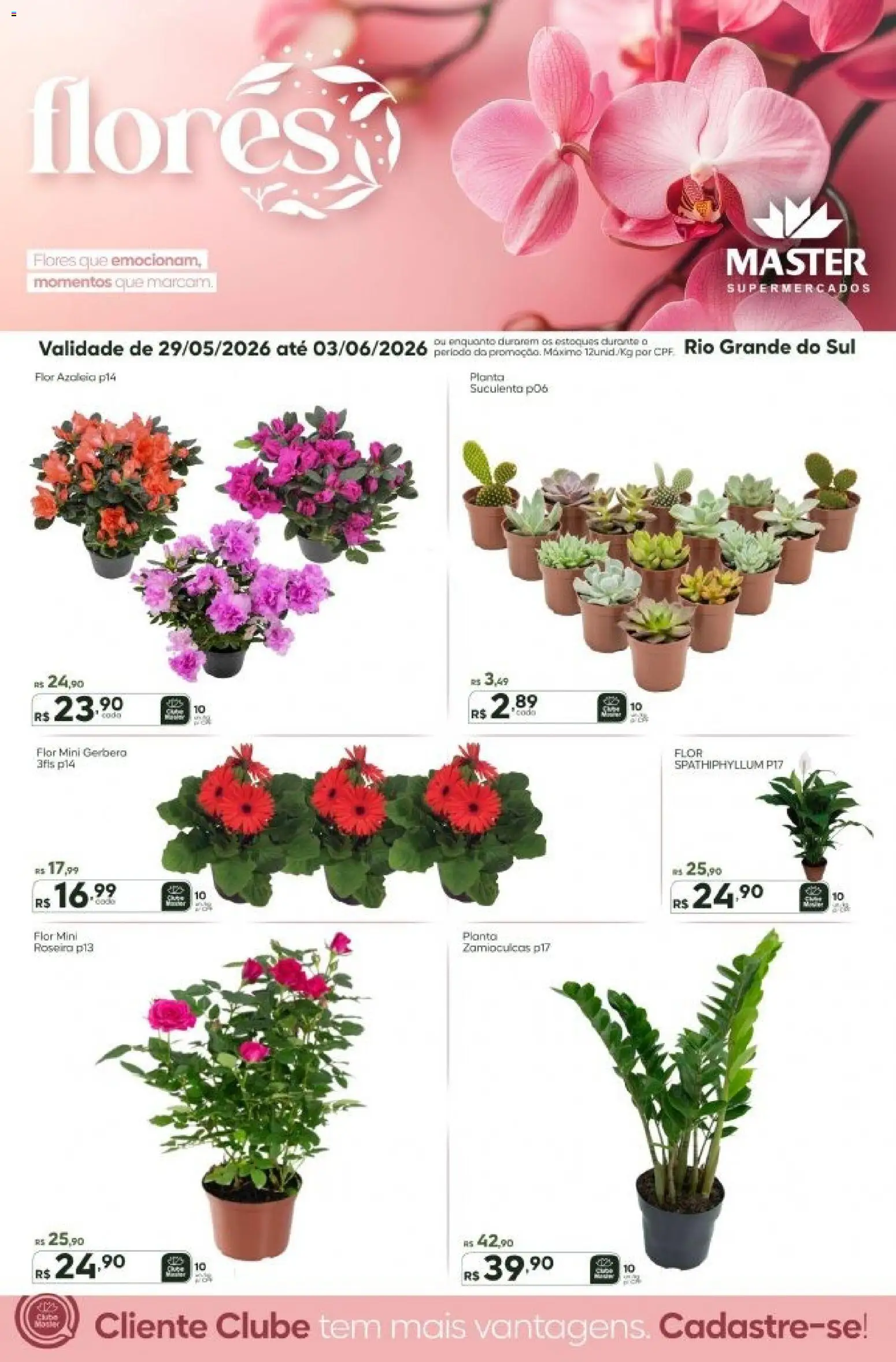 Pré-Visualização do folheto "Master ofertas Flores" da loja Master válido a partir de 29/05/2026 - Flores, Gerbera