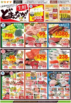 ライフの2026/10/17から2026/10/20までのチラシはここライフ 世田谷区 - 10/17号 生鮮どまんなか！