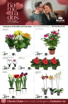 Pré-Visualização do folheto "Master ofertas Flores" da loja Master válido a partir de 11/06/2026