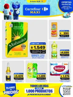 Vista previa del folleto de la tienda Carrefour Maxi válido desde el 06/06/2026 