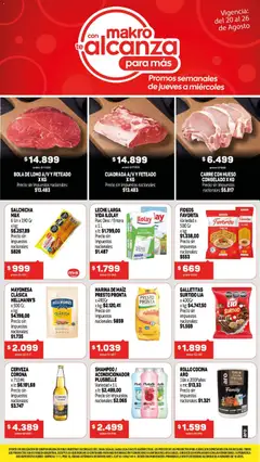 Vista previa del folleto de la tienda Makro válido desde el 20/08/2026 