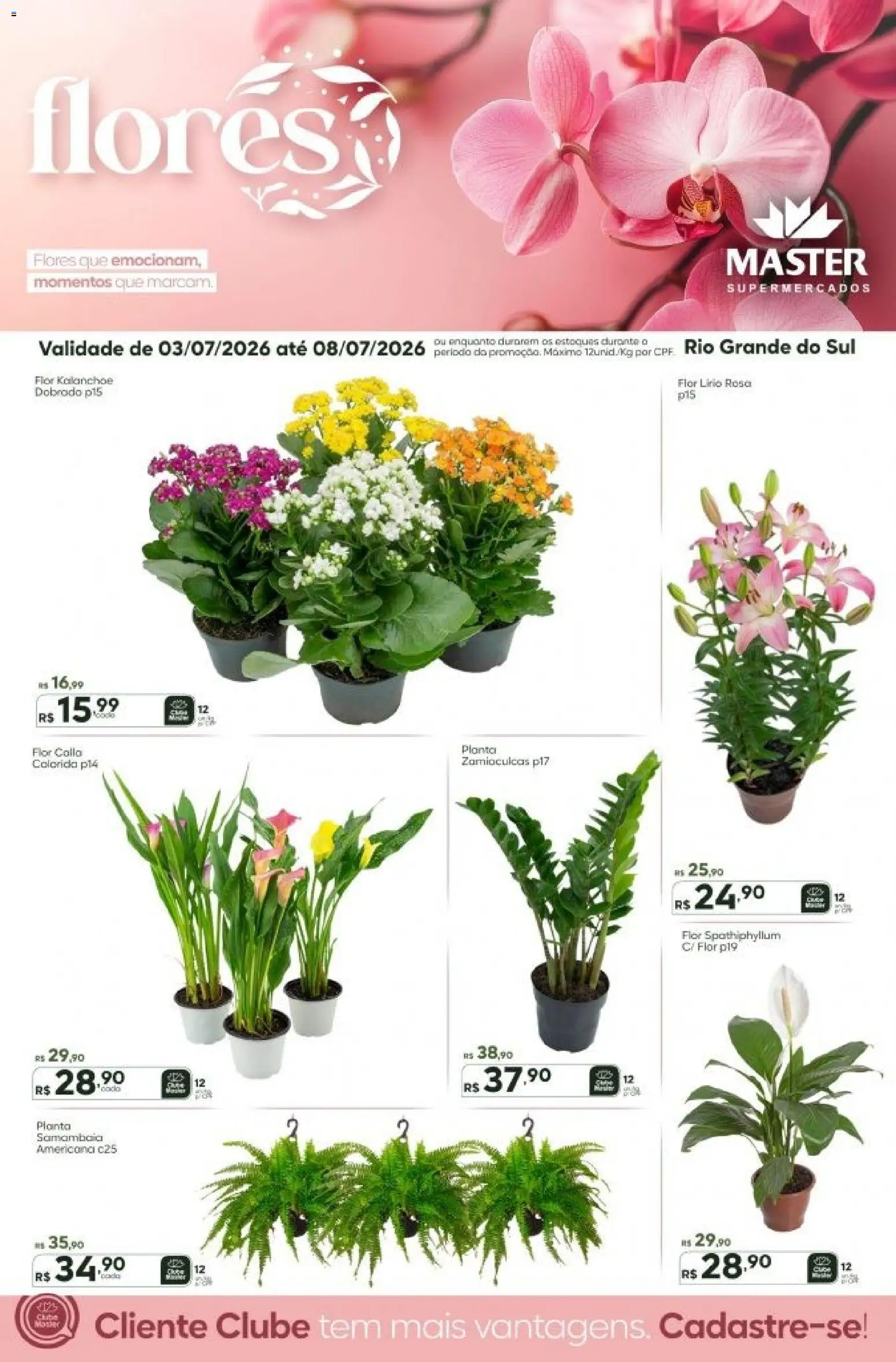 Pré-Visualização do folheto "Master ofertas Flores" da loja Master válido a partir de 03/07/2026 - Flores