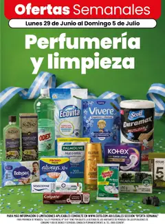 Vista previa del folleto de la tienda Coto válido desde el 29/06/2026 
