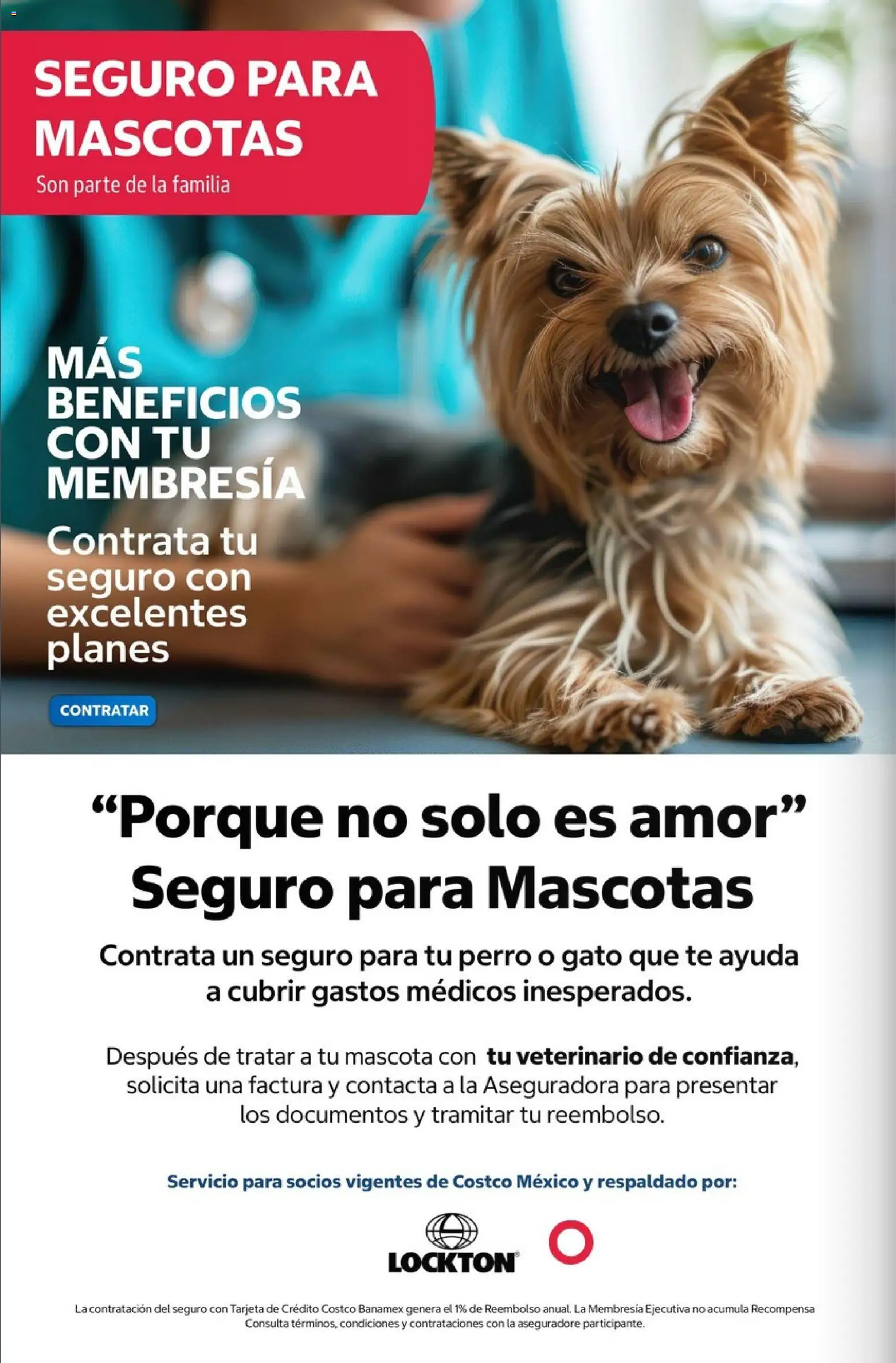 Vista previa las ofertas de la tienda Costco - Costco catálogo Septiembre desde el 01/09/2026 